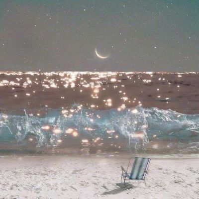 金星app安装下载官网截图